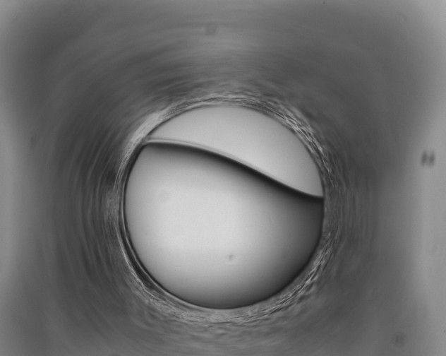 X0000091520003200708171019