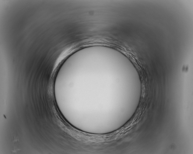 X0000091520004200708171019