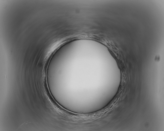 X0000091520005200708171019