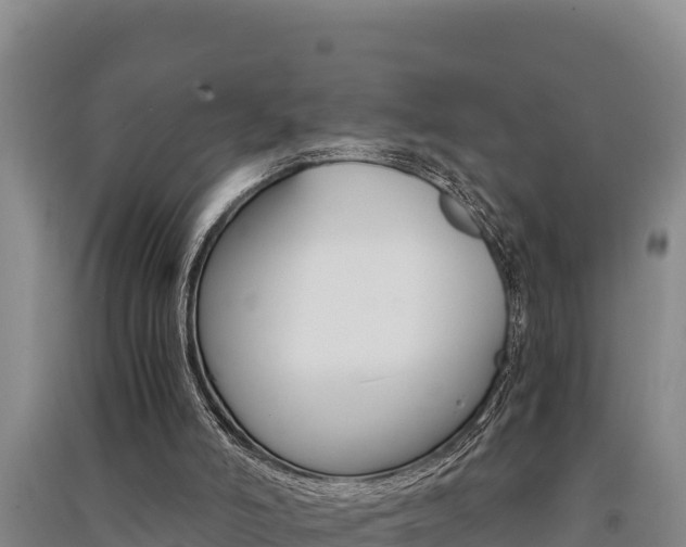 X0000091520006200708171019