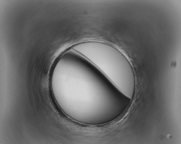 X0000091520008200708171019