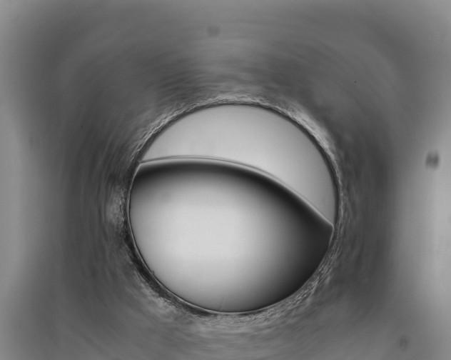 X0000091520009200708171019