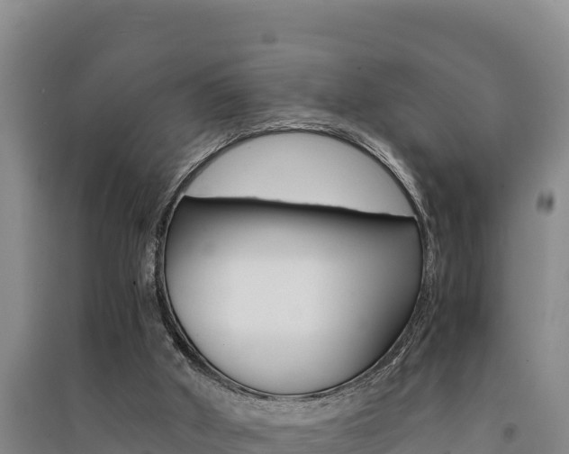 X0000091520010200708171019