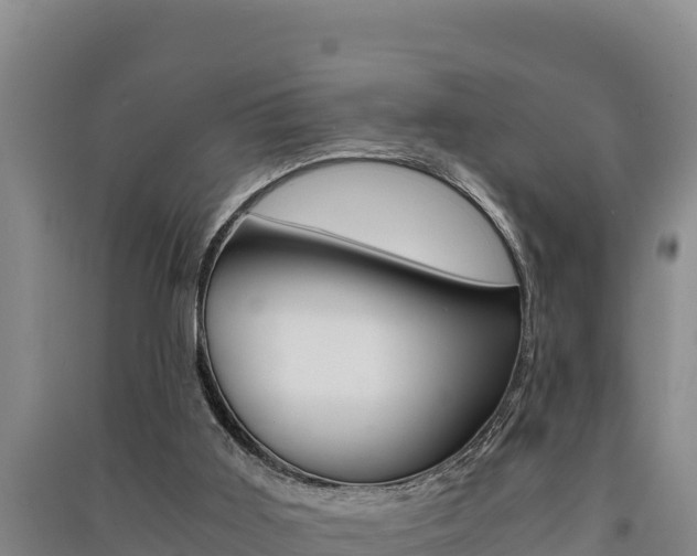 X0000091520011200708171019