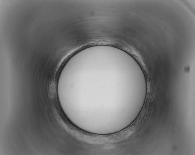 X0000091520012200708171019