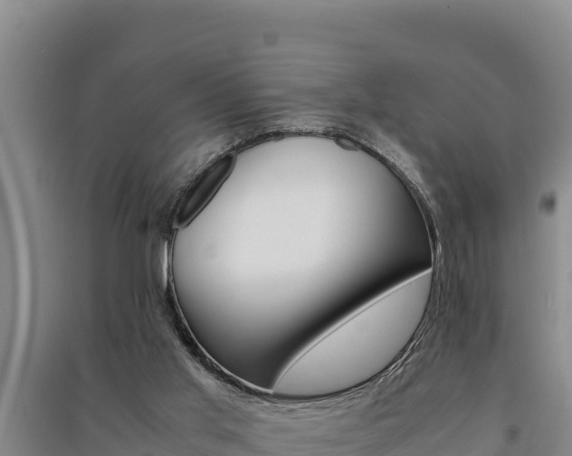 X0000091520013200708171019