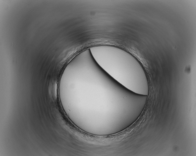 X0000091520014200708171019