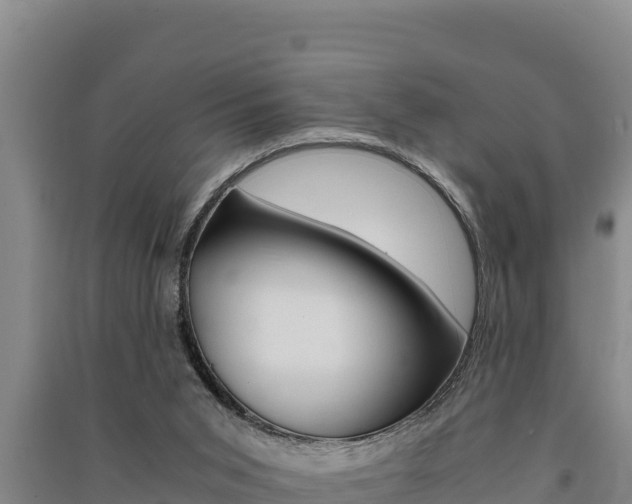 X0000091520015200708171019