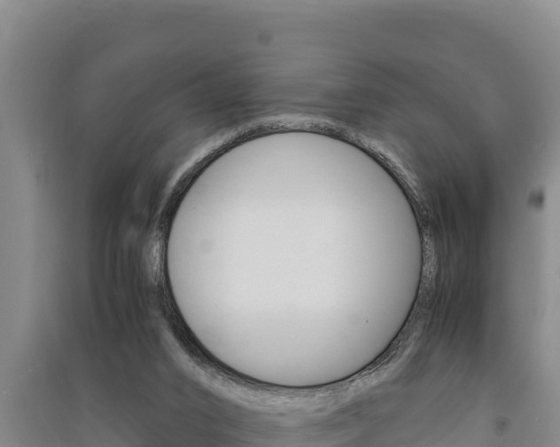 X0000091520016200708171019