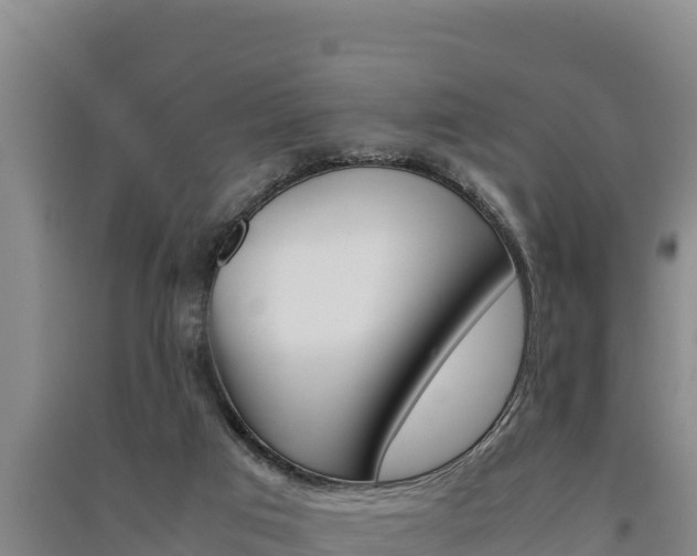 X0000091520017200708171019