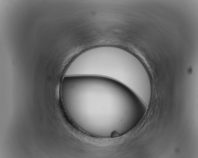 X0000091520019200708171019