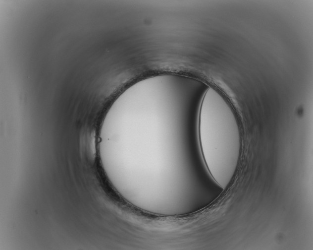 X0000091520020200708171019