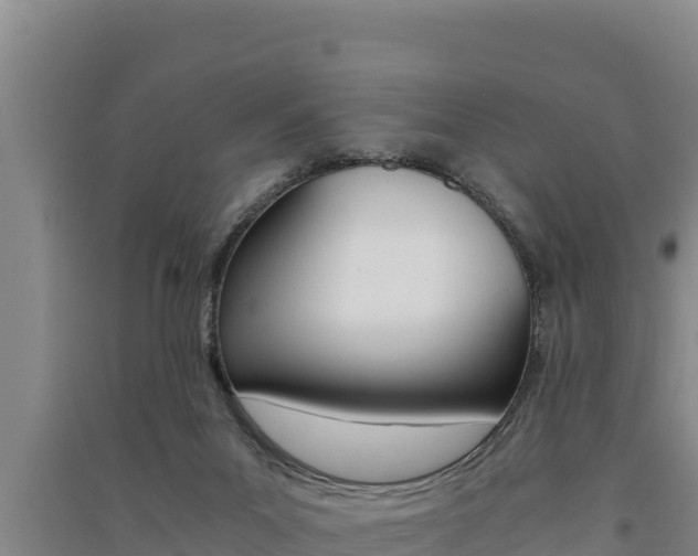 X0000091520023200708171019