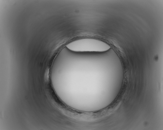 X0000091520024200708171019