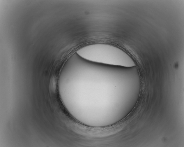 X0000091520026200708171019