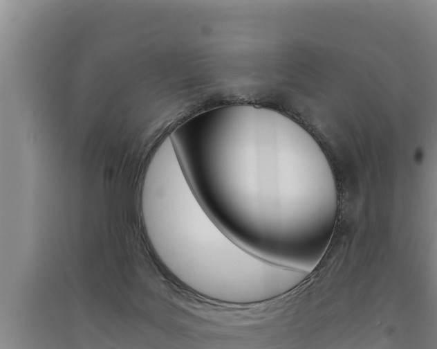 X0000091520027200708171019