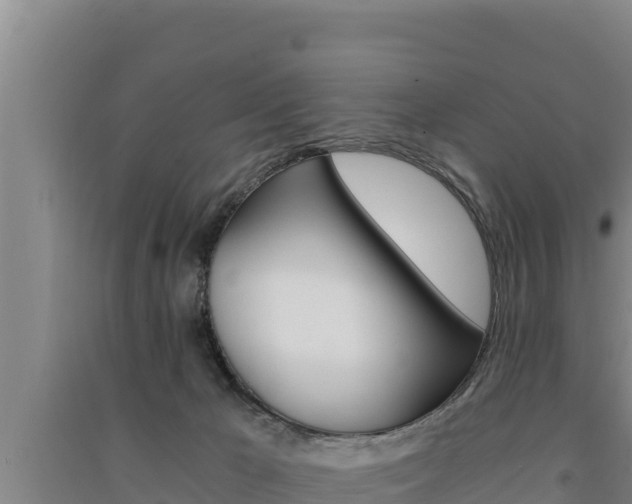 X0000091520029200708171019