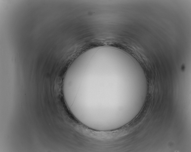 X0000091520030200708171019