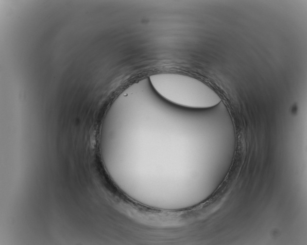 X0000091520032200708171019