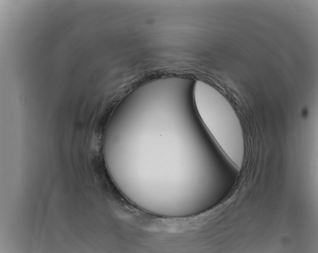 X0000091520033200708171019