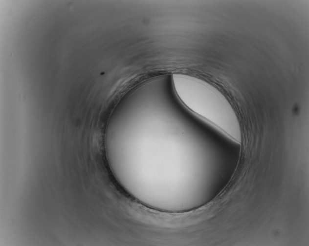 X0000091520035200708171019