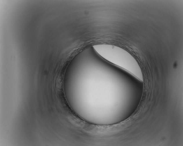 X0000091520037200708171019