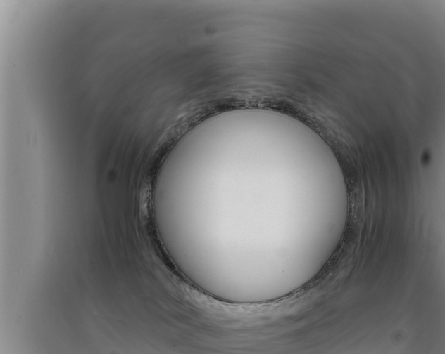 X0000091520038200708171019