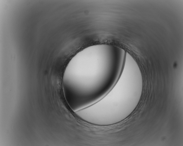 X0000091520039200708171019