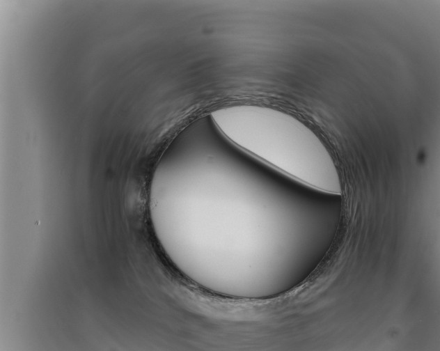 X0000091520040200708171019