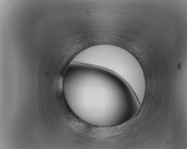 X0000091520041200708171019
