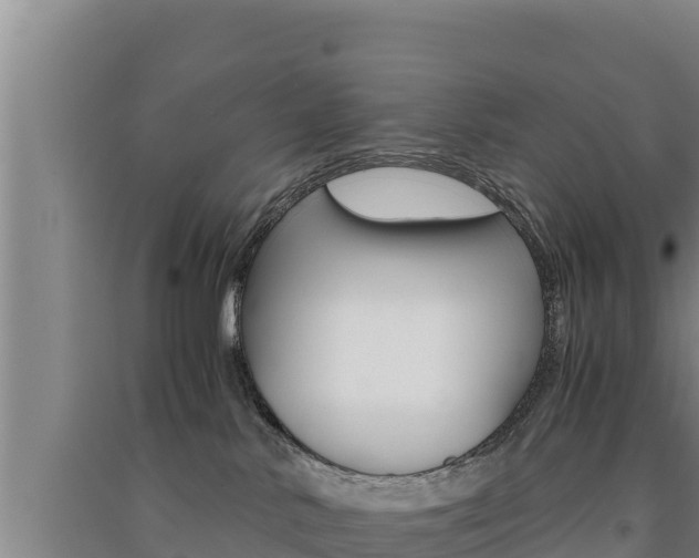 X0000091520042200708171019