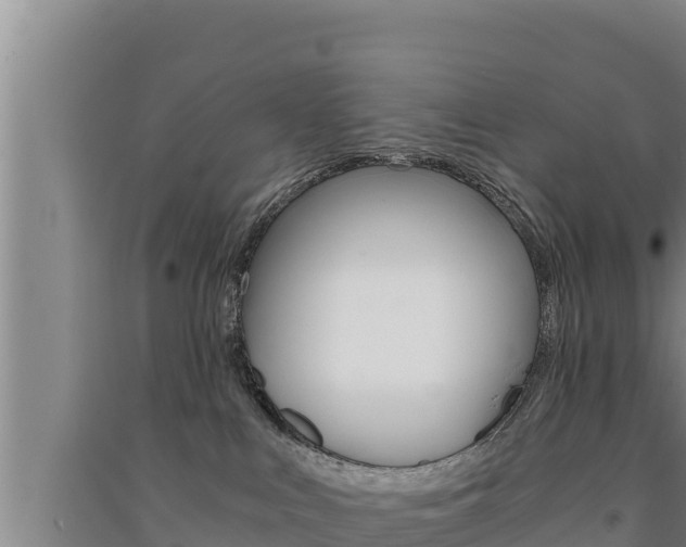 X0000091520043200708171019