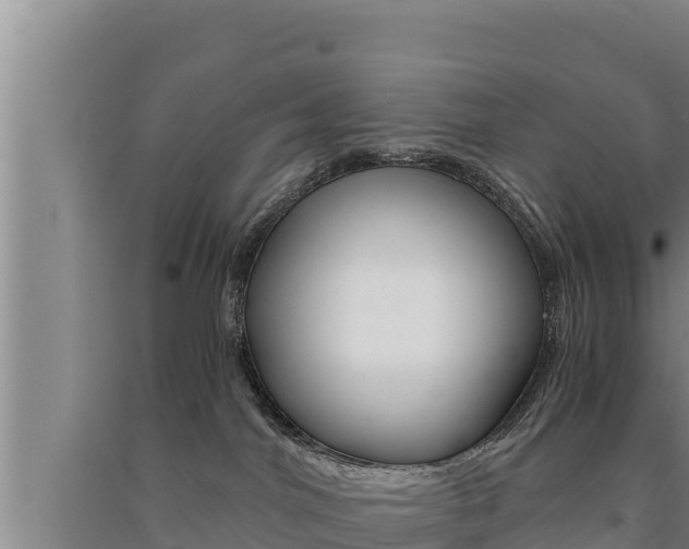 X0000091520044200708171019