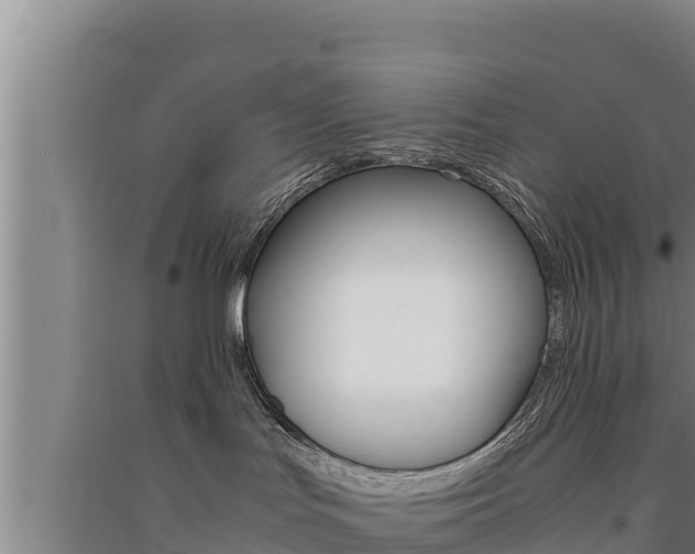 X0000091520047200708171019