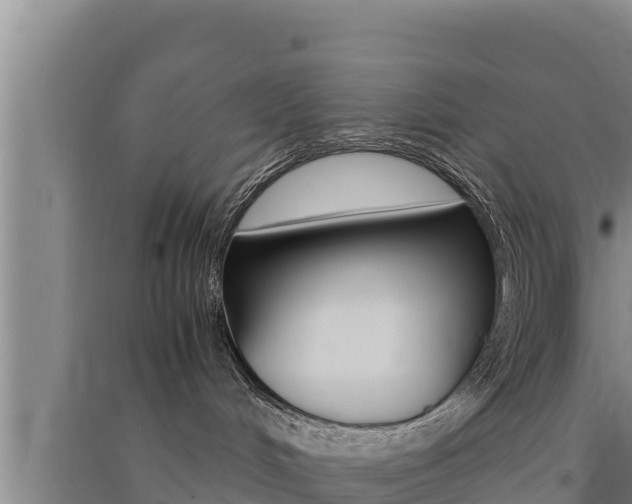 X0000091520048200708171019