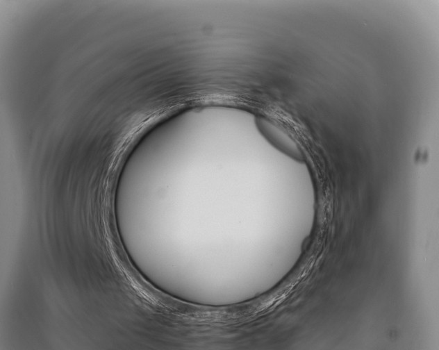X0000091520049200708171018