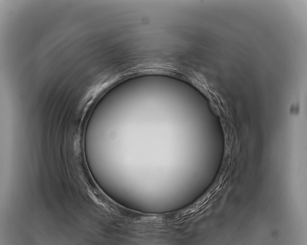 X0000091520050200708171018