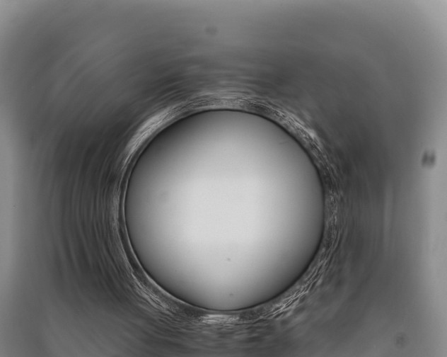 X0000091520051200708171018