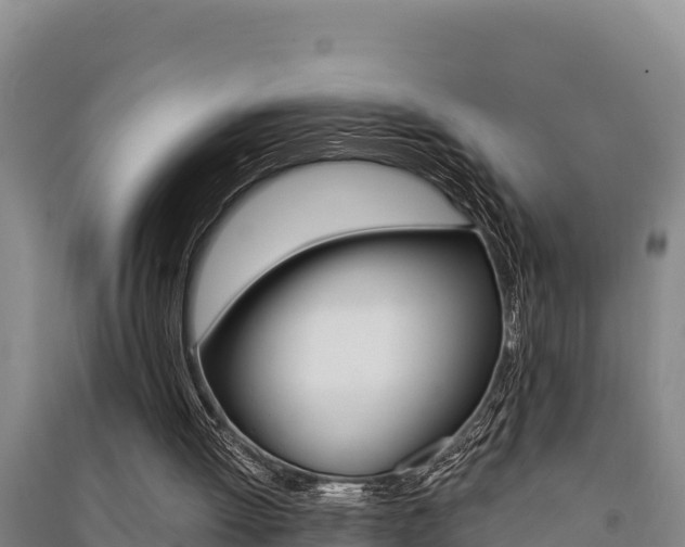 X0000091520052200708171018