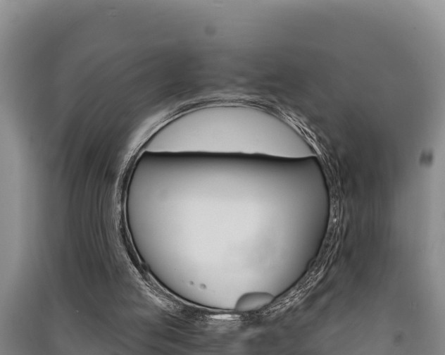 X0000091520053200708171018