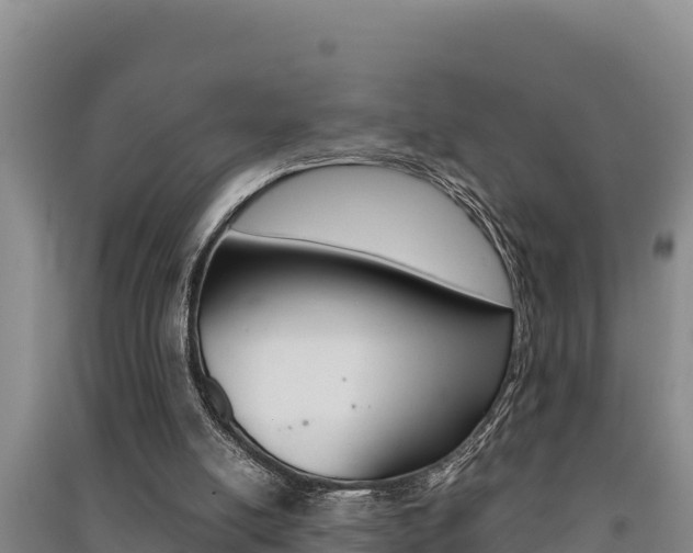 X0000091520054200708171018