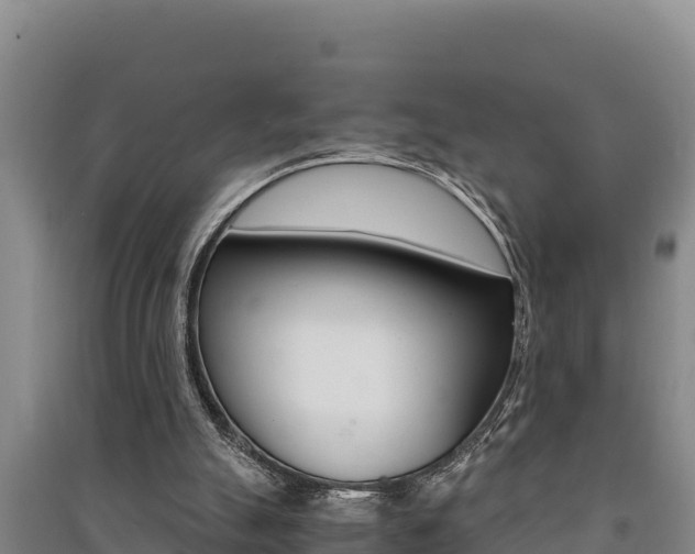 X0000091520055200708171018