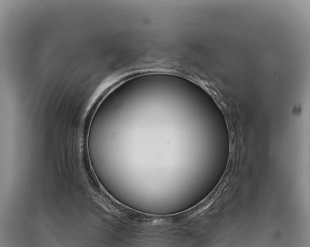 X0000091520056200708171018