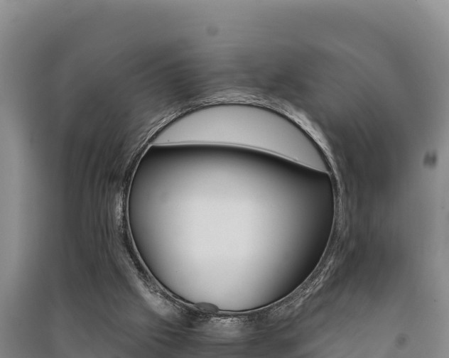 X0000091520057200708171018