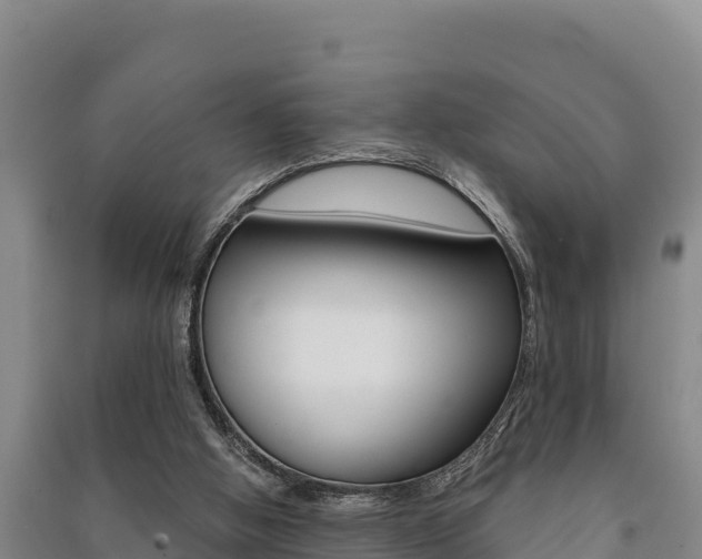X0000091520058200708171018
