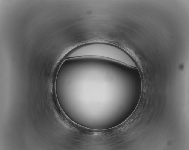 X0000091520060200708171018