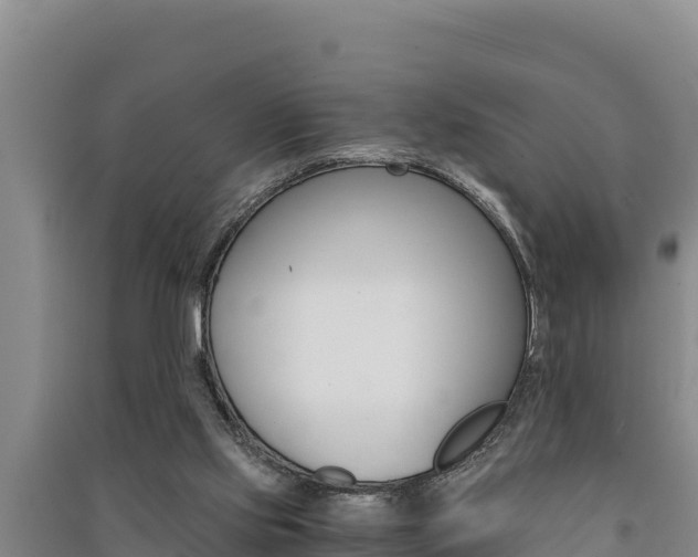 X0000091520061200708171018