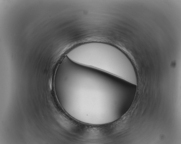 X0000091520062200708171018