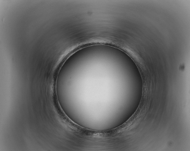 X0000091520064200708171018