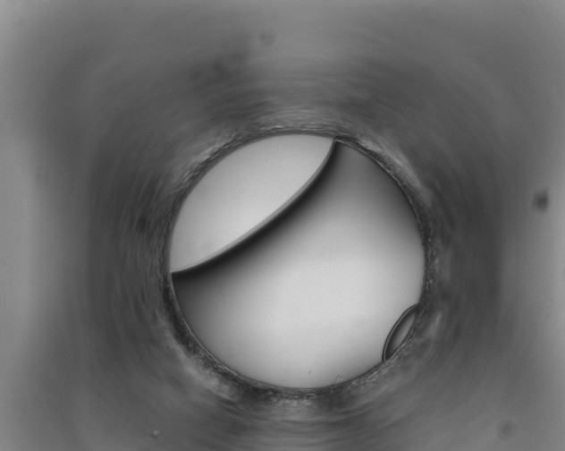 X0000091520066200708171018